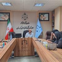 ۱۵۷ مجوز سقط جنین قانونی در کردستان صادر شد