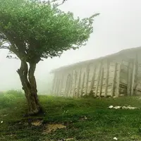 باران بهاری به گیلان برمی‌گردد
