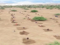 تبدیل بیابان به زمینی سرسبز با روشی جالب در تانزانیا