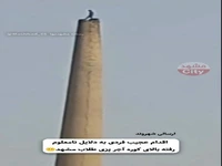 اقدام عجیب یک شهروند در محله طلاب مشهد