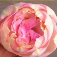 تبدیل گل رز به گل پیونی