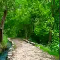 باغ های زیبای روستای پالنگان 