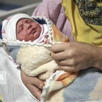 ۷۷ درصد زوجین تمایلی به فرزندآوری ندارند/ کاهش جمعیت ناشی از اراده انسان‌هاست