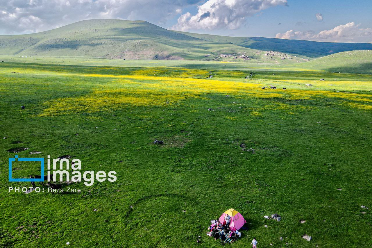 عکس/ طبیعت بهاری دامنه کوه سبلان