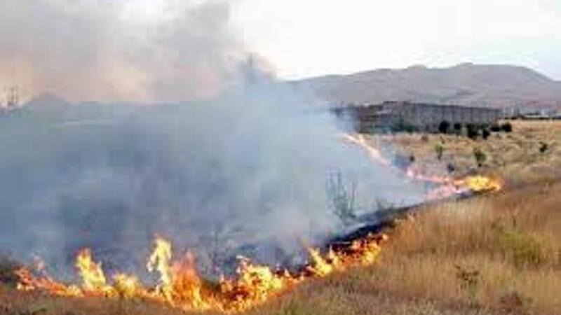 ۱۳ هکتار از مزارع گندم سرپلذهاب در آتش سوخت