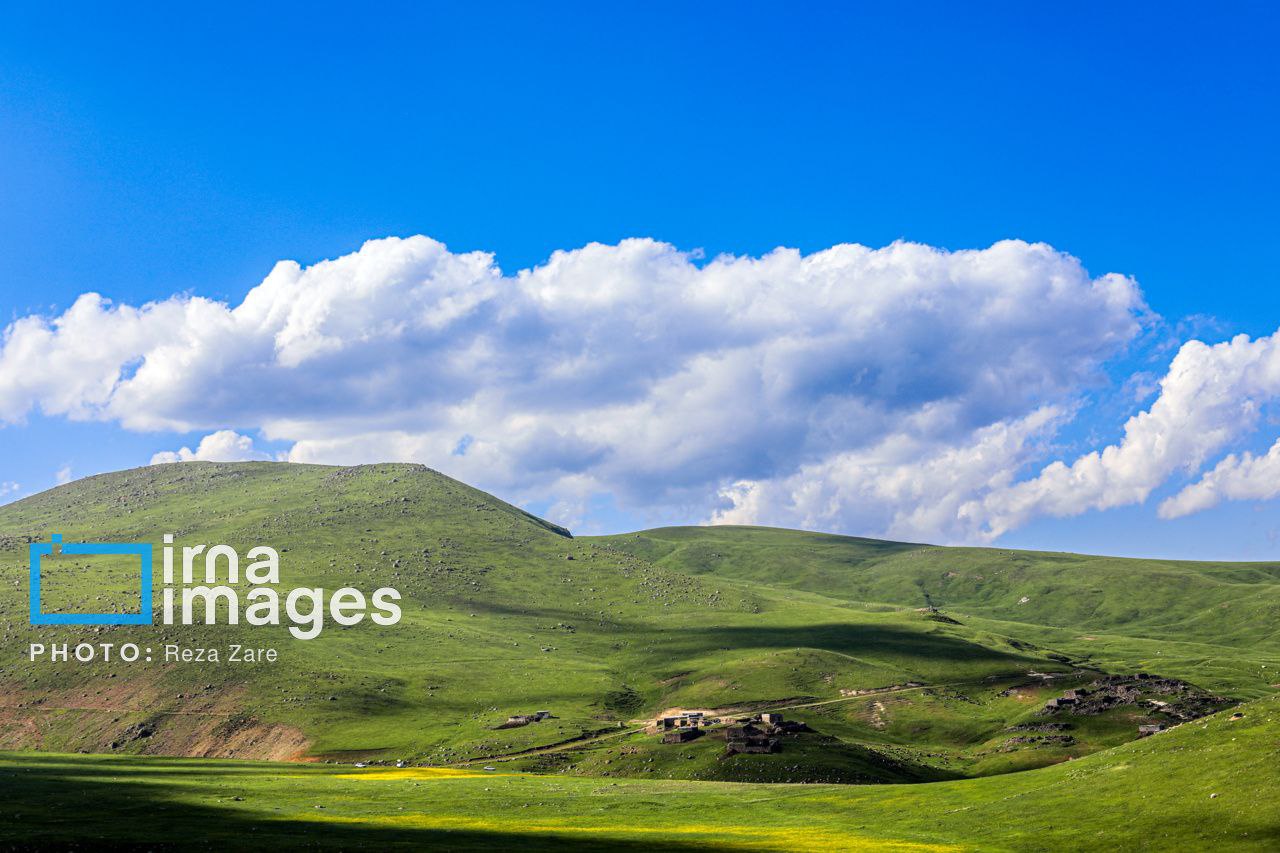 عکس/ طبیعت بهاری دامنه کوه سبلان