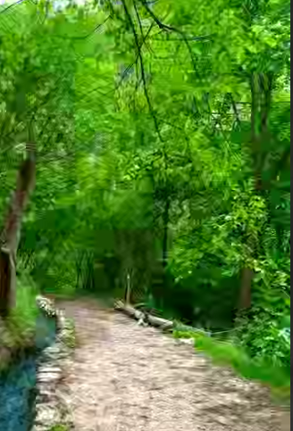باغ های زیبای روستای پالنگان