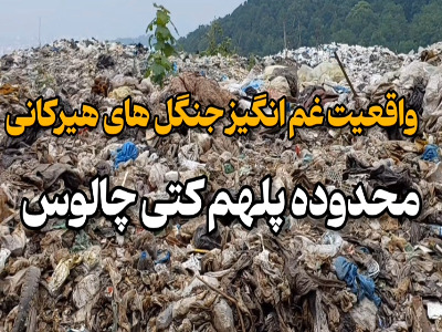 تصاویر غم‌انگیز از جنگل‌های شمال