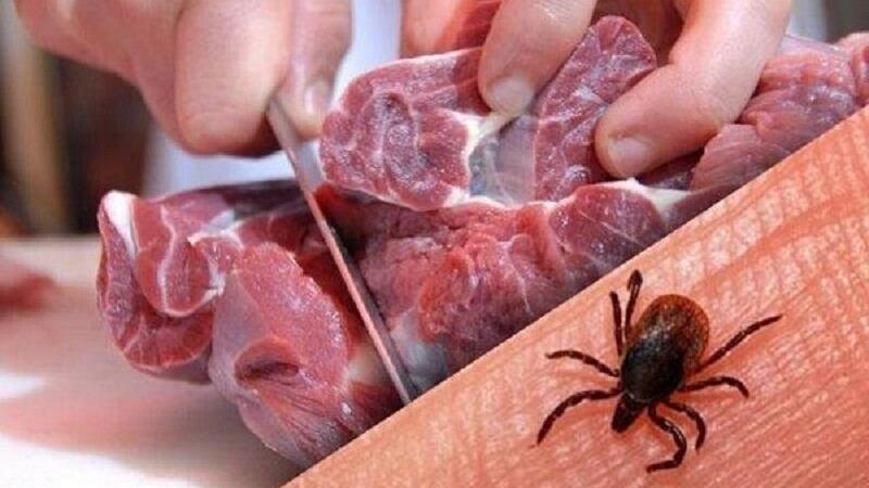 احتمال شیوع تب کریمه کنگو در استان مرکزی؛ بهداشت را جدی بگیرید