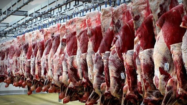 چراغ سبز یارانه به گوشت قرمز