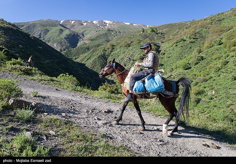 طبیعت بهاری دره جِرمی ارومیه