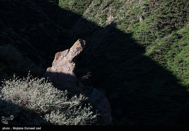 طبیعت بهاری دره جِرمی ارومیه