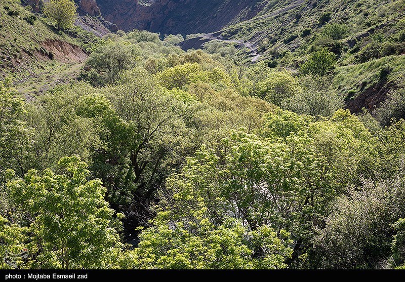 طبیعت بهاری دره جِرمی ارومیه