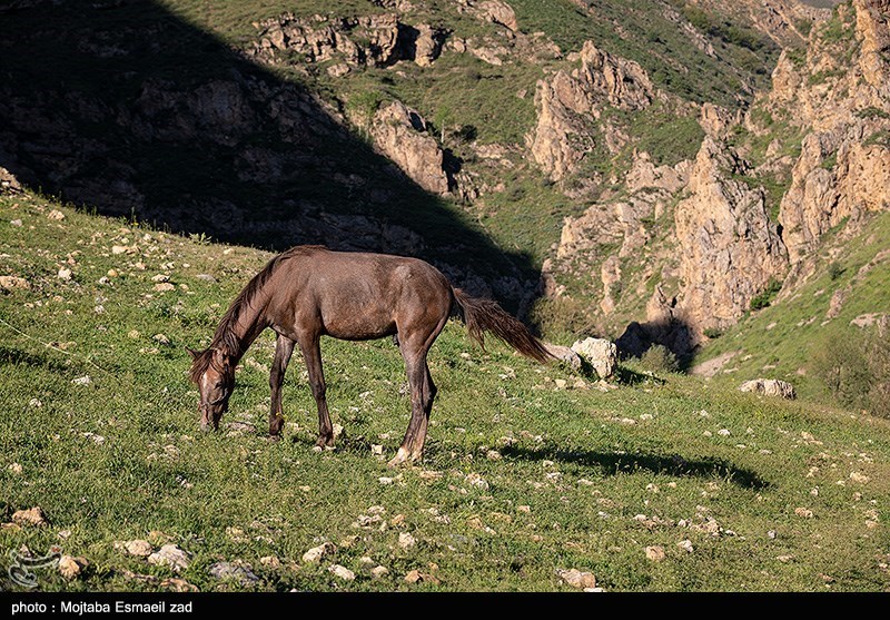 طبیعت بهاری دره جِرمی ارومیه