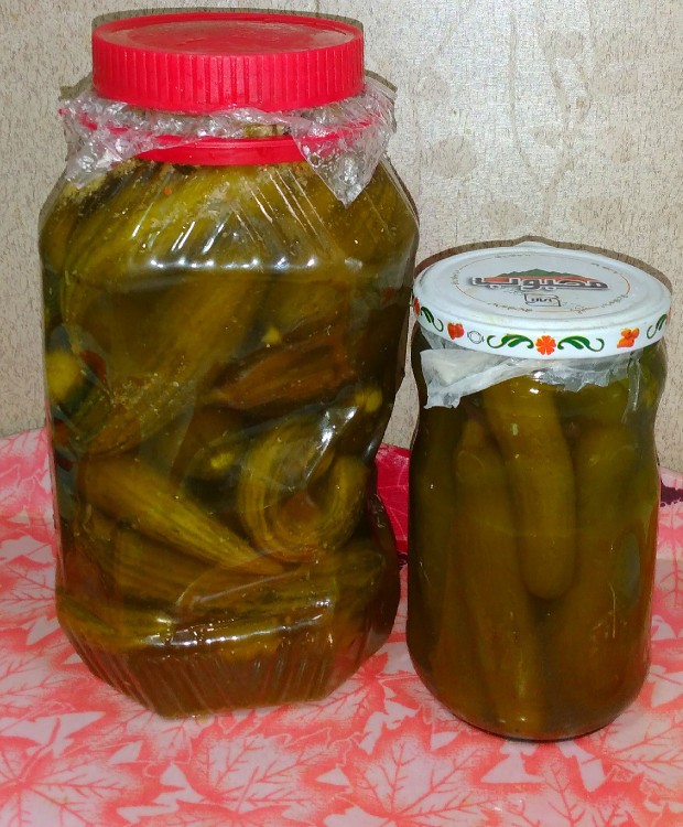 از شما/خیارشور🍀🍀🍀