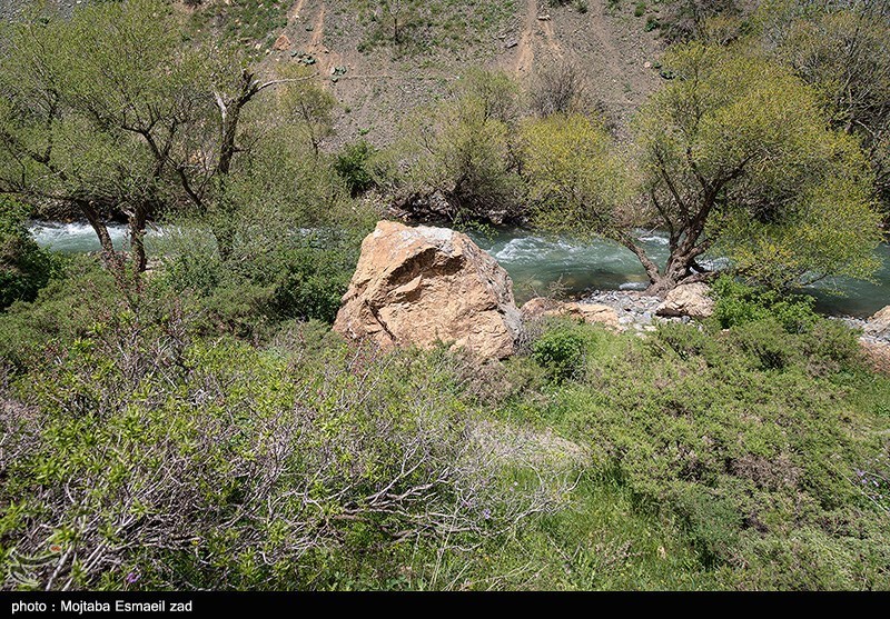 طبیعت بهاری دره جِرمی ارومیه