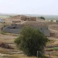 گوناگون/ غبار فراموشی بر گنجینه ۶۰۰۰ سالۀ ایران