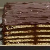 دسر بیسکوئیتی کاکائویی، یک گزینه خوشمزه برای عاشقان کاکائو