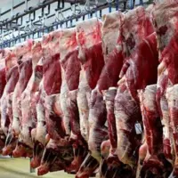 چراغ سبز یارانه به گوشت قرمز