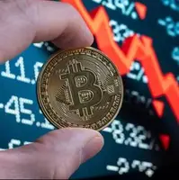 صعود و سقوط آنی بیت‌کوین