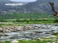 طبیعت بکر و زیبای دره اسپر در دورود لرستان