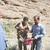 تله شکارچیان غیرمجاز در اشکذر دست بره‌میش را قطع کرد