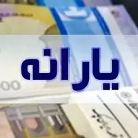 امکان «حذف فرزندان بالای ۱۸ سال با درآمد مستقل از دهک خانوار» فراهم شد  