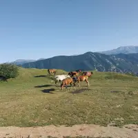 تصاویری از سوادکوه زیبا و دیدنی