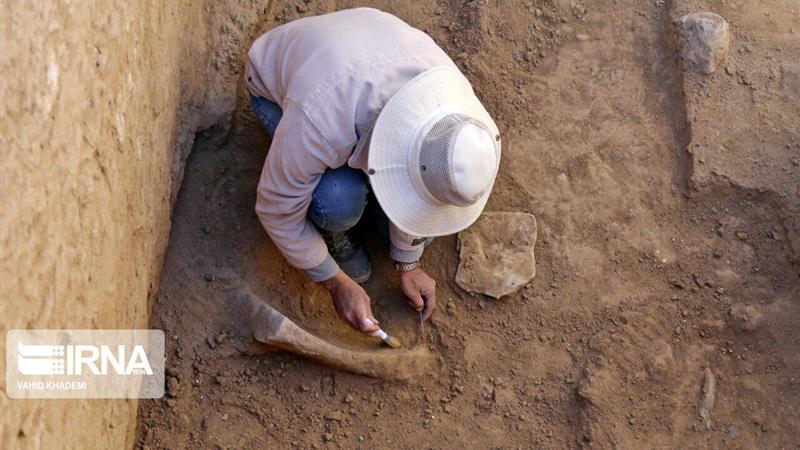 ۱۰۰ میلیارد ریال برای کاووش در ۲۰ غار استان مرکزی اعتبار نیاز است