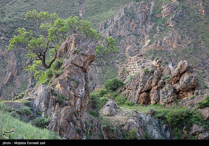 طبیعت بهاری دره جِرمی ارومیه