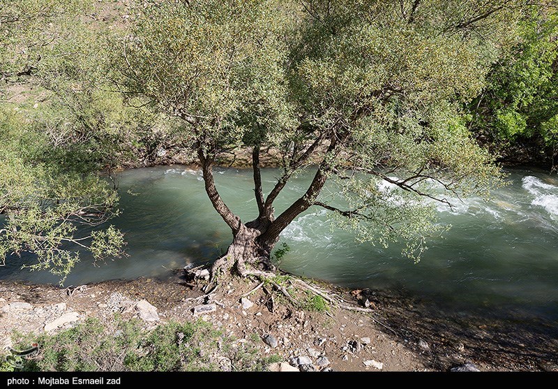 طبیعت بهاری دره جِرمی ارومیه