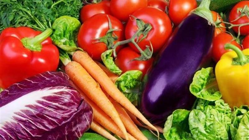 بیشتر محصولات کشاورزی بوشهر از نظر باقیمانده آلایندهها استاندارد هستند