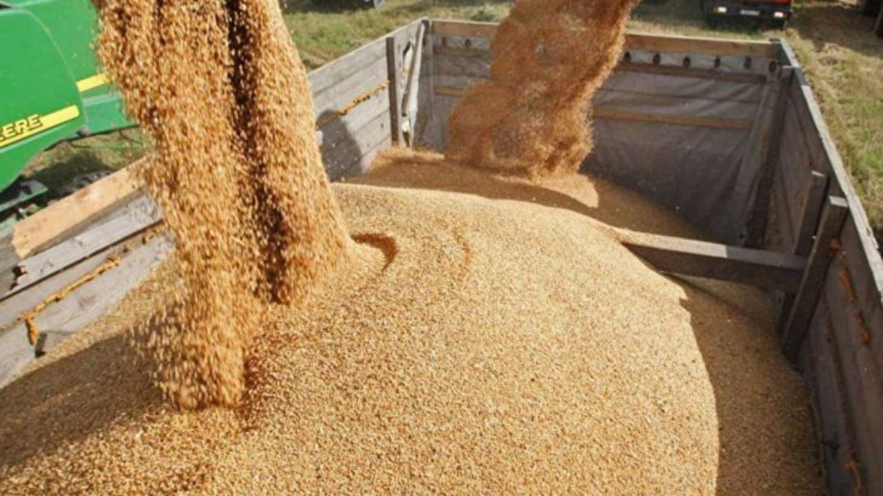 ۷۰ هزار تُن گندم وارد استان اصفهان شد