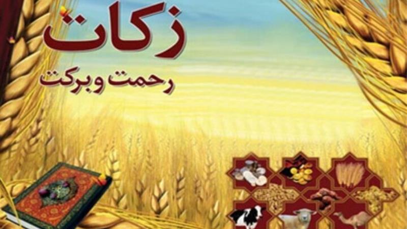 ۷۴۲ روستای زنجان زکات میدهند