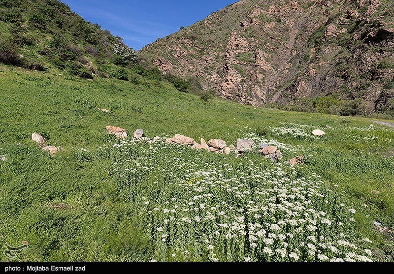 طبیعت بهاری دره جِرمی ارومیه