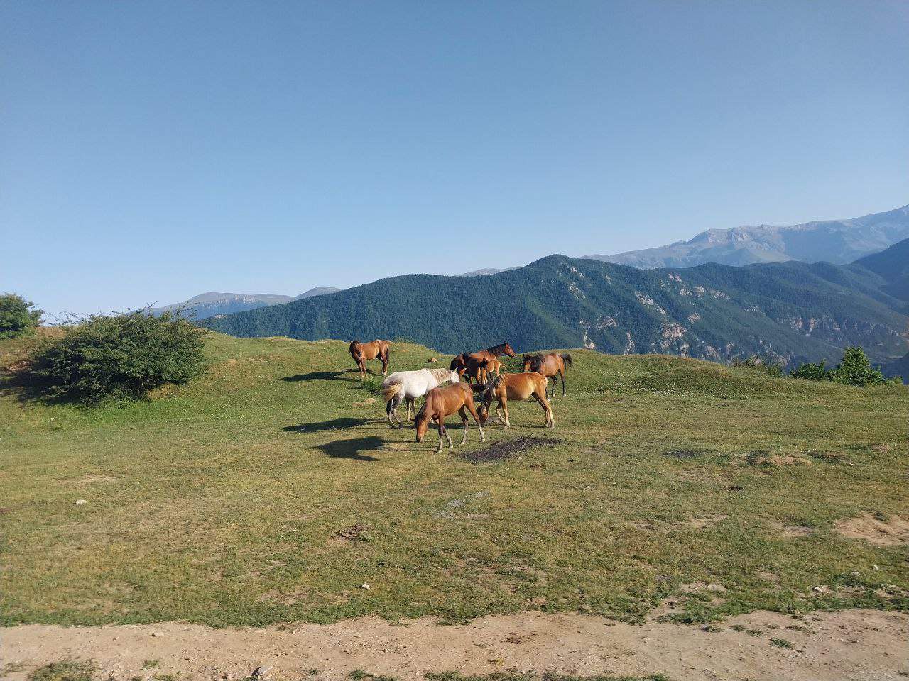 تصاویری از سوادکوه زیبا و دیدنی