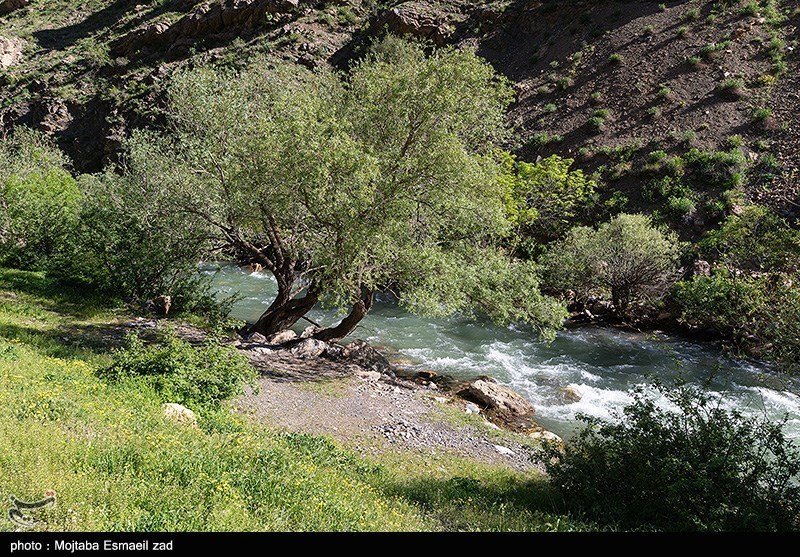 طبیعت بهاری دره جِرمی ارومیه