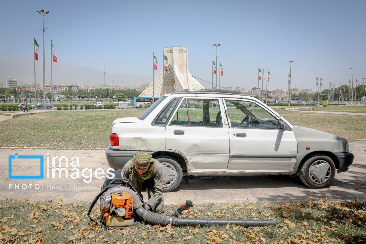 عکس/ قطع درختان بی جان میدان آزادی