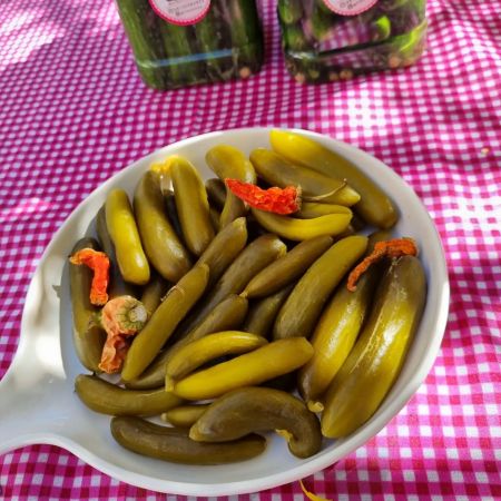 توی خونه در عرض یک ربع خیارشور درست کن