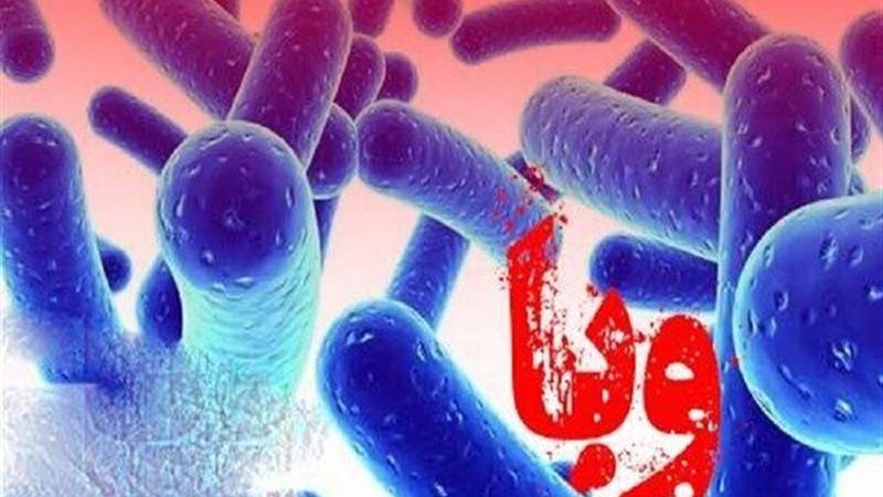 مراکز بهداشتی زنجان برای مقابله با بیماریهای اسهالی حاد آماده باشند