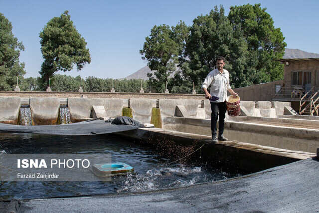 طرحهای نوین آبزیپروری در سراوان اجرا میشود