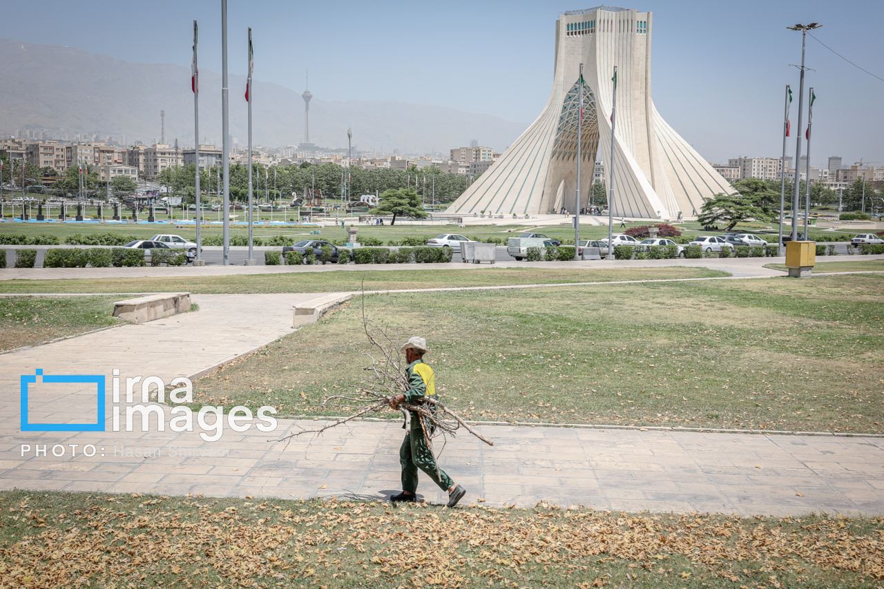 عکس/ قطع درختان بی جان میدان آزادی