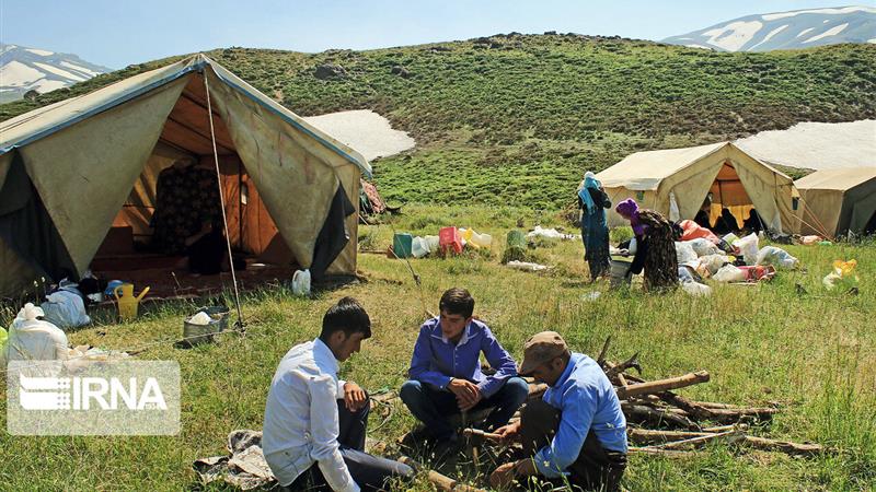 عشایر مهمانان طبیعت البرز؛ تولید ۱۰ هزارتن گوشت و مواد لبنی