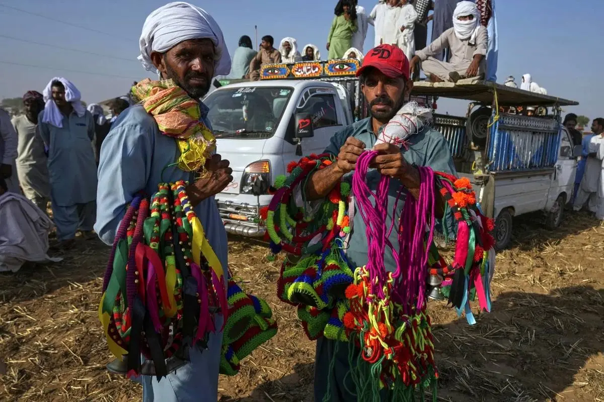  مسابقه گاوها در پاکستان؛ تلفیقی از هیجان، سنت و افتخار روستایی