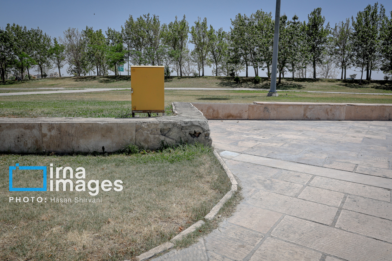 عکس/ قطع درختان بی جان میدان آزادی