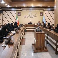 رفع آسیب‌های اجتماعی در استان زنجان نیازمند توجه جدی است