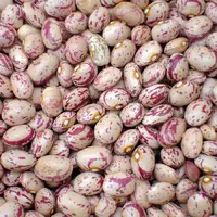 سرمقاله شرق/ حق بر لوبیا چیتی