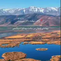 تالاب بیشه داران بروجرد