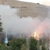 آتش‌سوزی گسترده یک باغ در بلوار شهید چمران شیراز