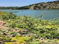 دریاچه زیبای سد گلورد در بهشهر